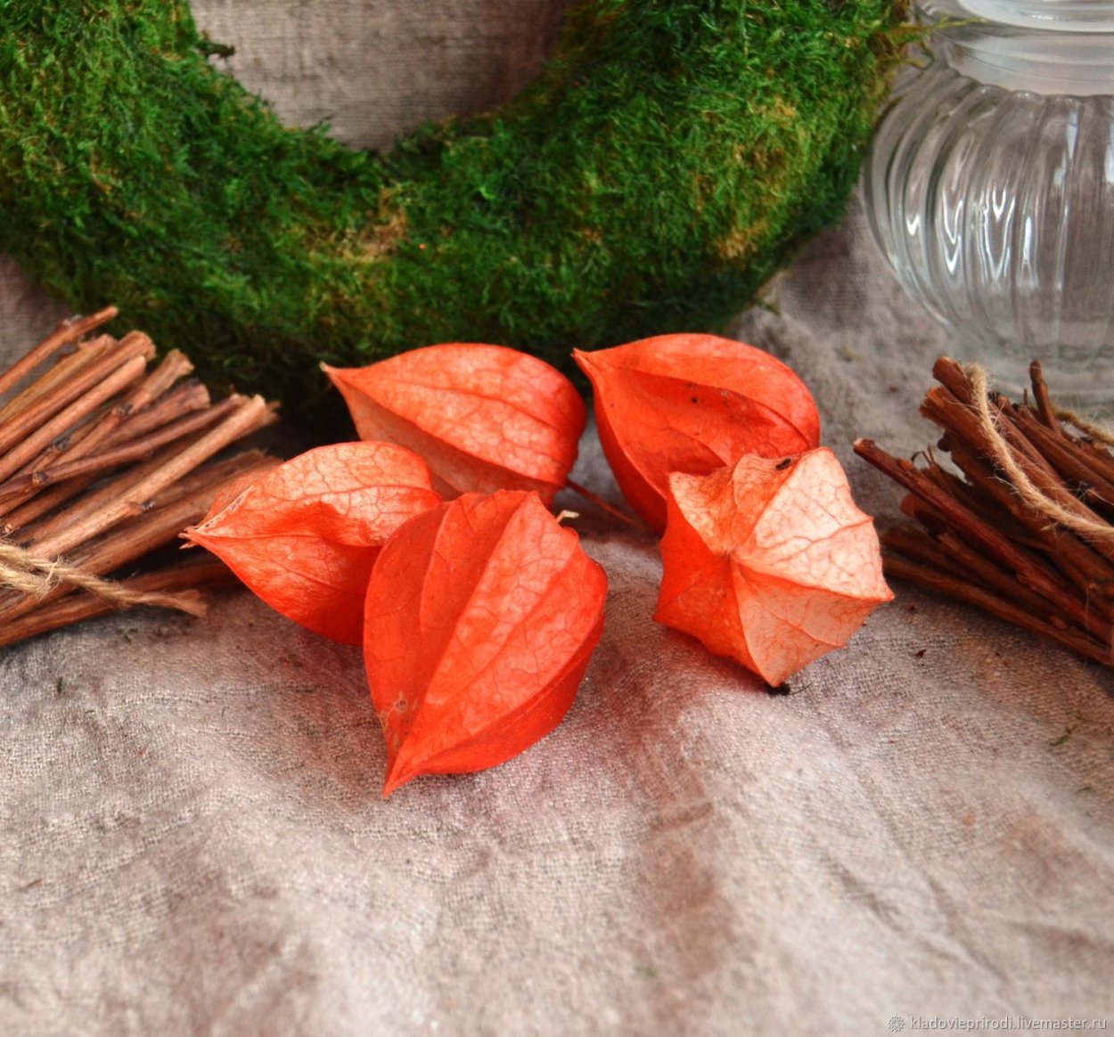 Оранжевые цветы