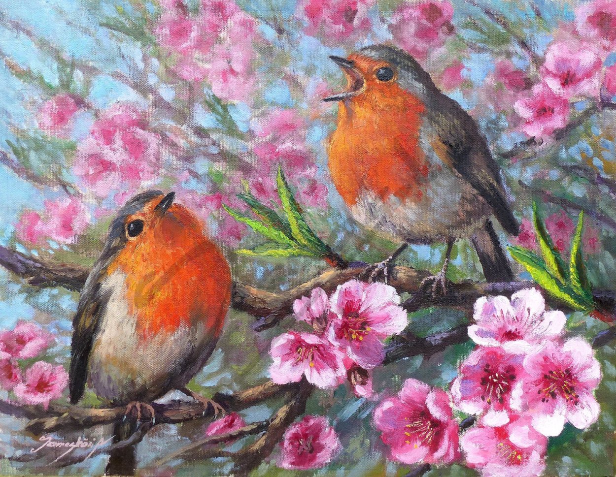 Зарянка Малиновка горихвостка