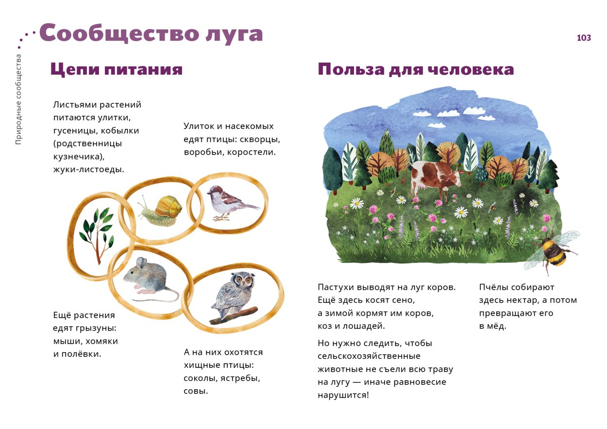 Природное сообщество Луга