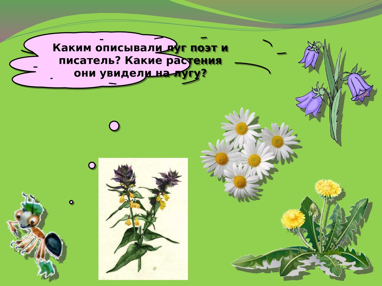 Обитатели болота Томской области