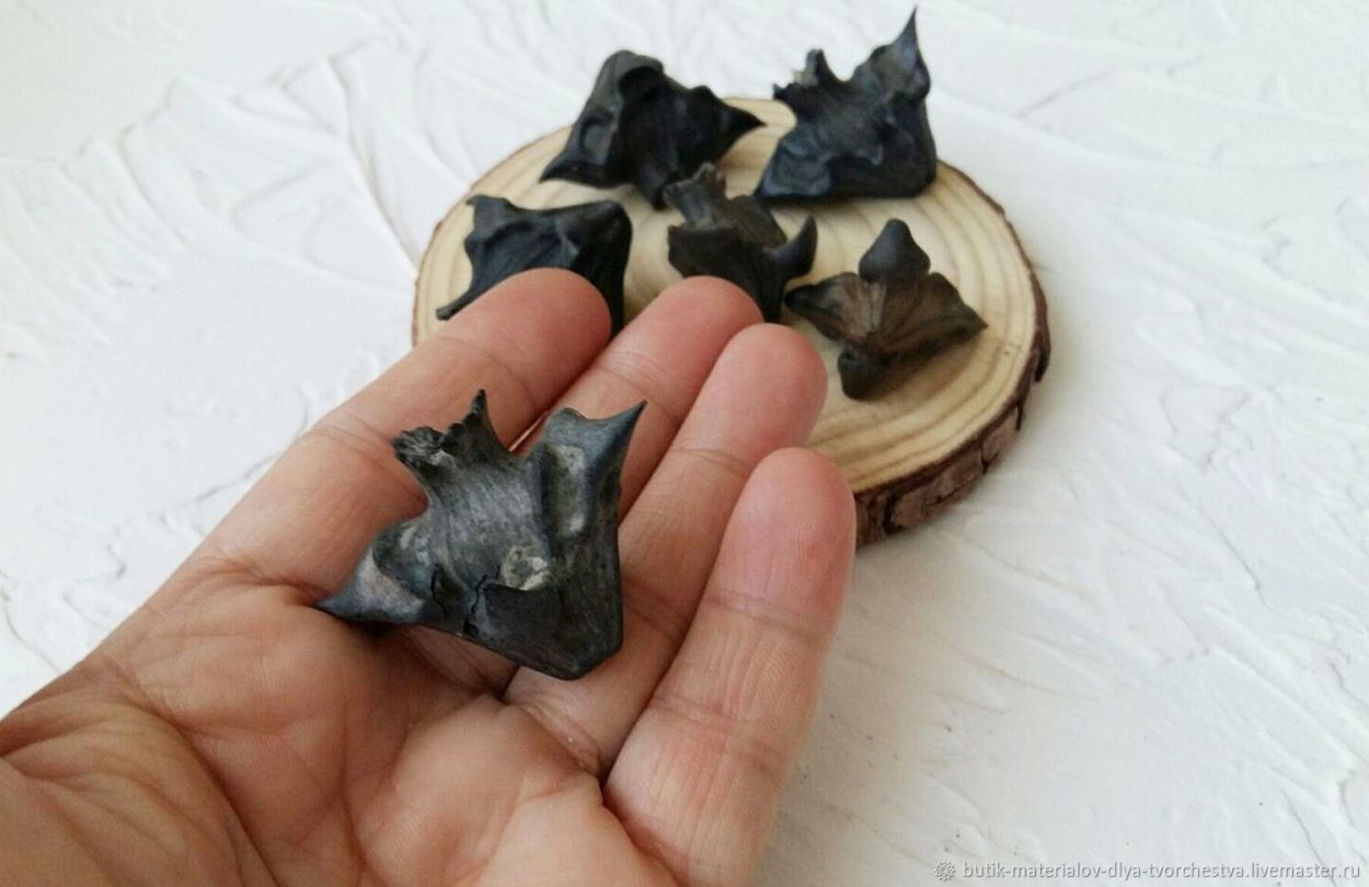 Манжерокский орех Чилим