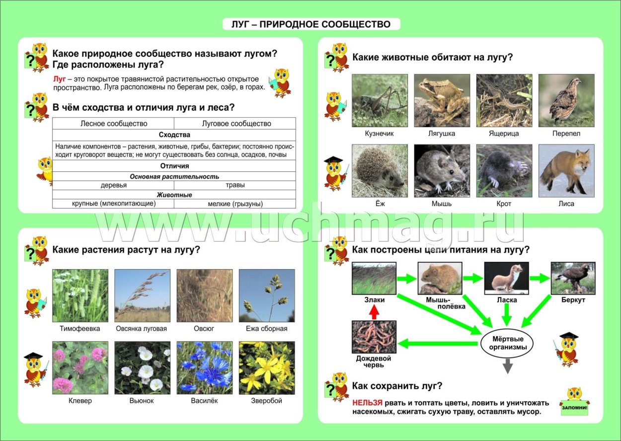 Характеристика природного сообщества