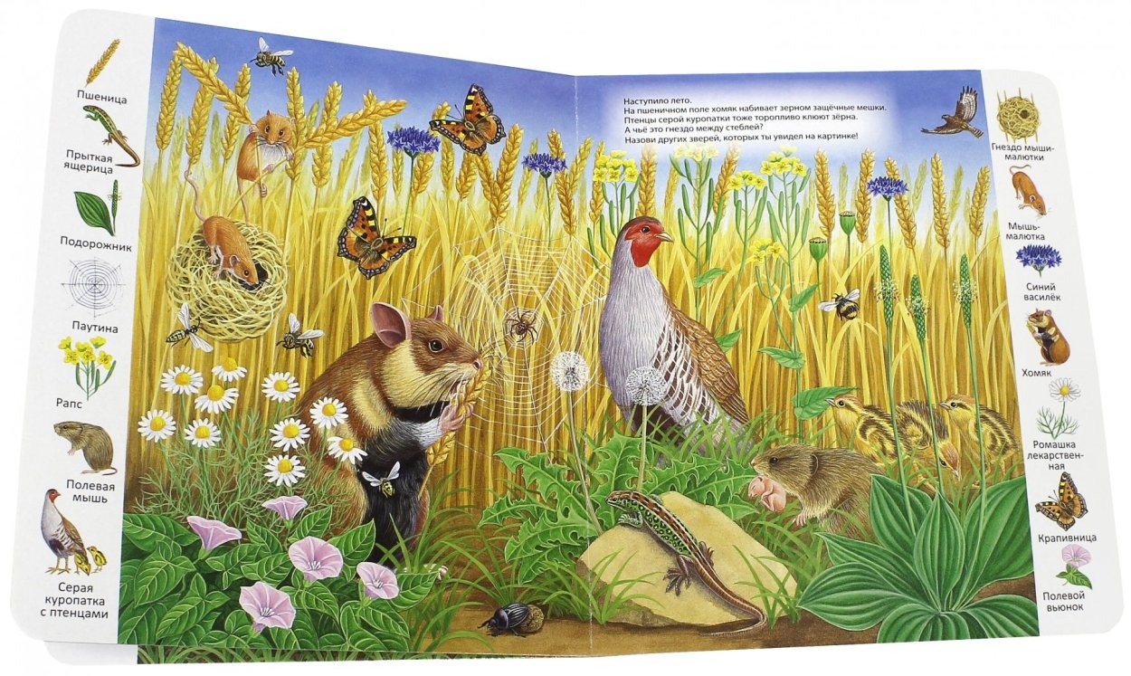 Животные Луга