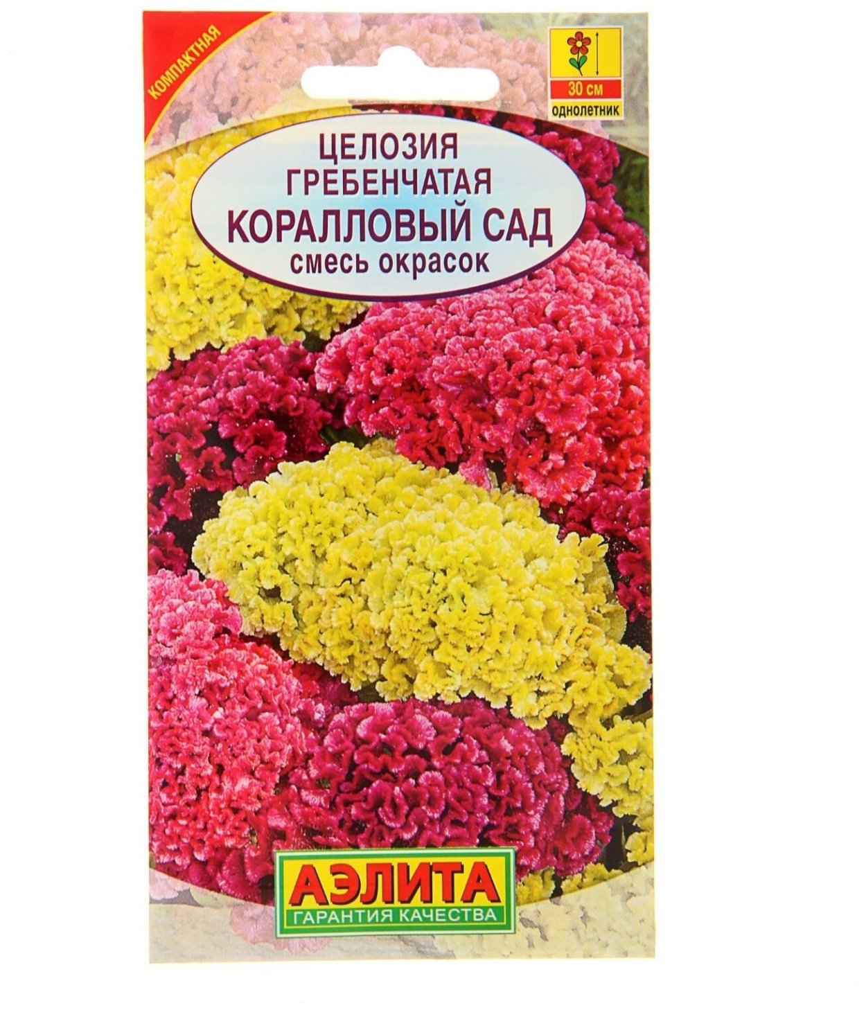 Целозия гребенчатая коралловый сад, смесь окрасок