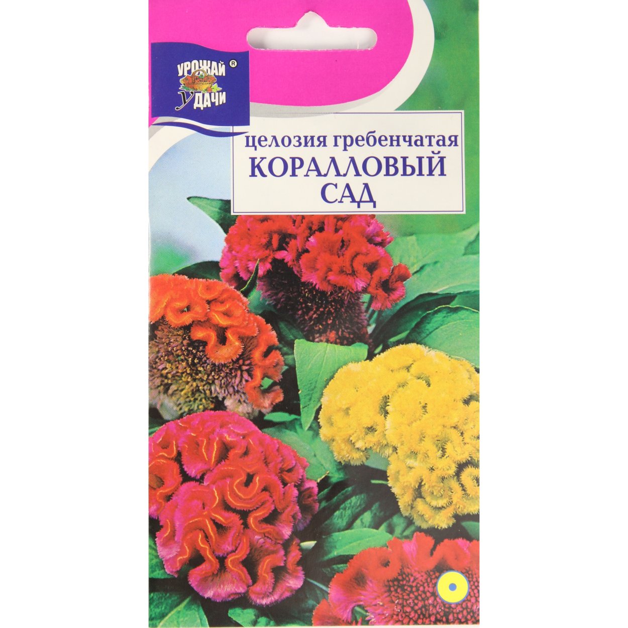 Цветок целозия петушиный гребешок