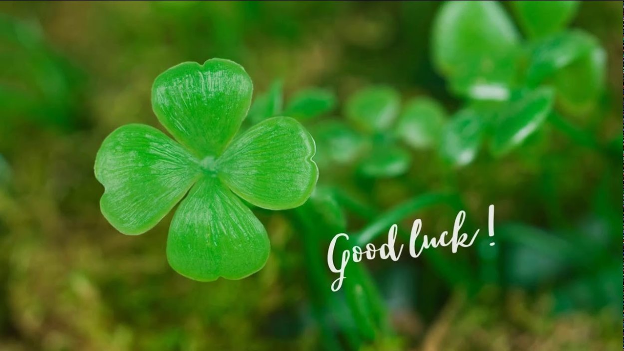 Клевер с 6 лепестками