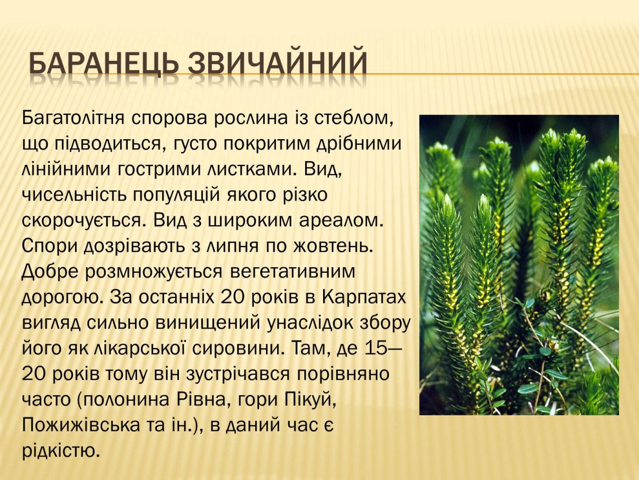 Биология 6 класс Пасечник 6 параграф