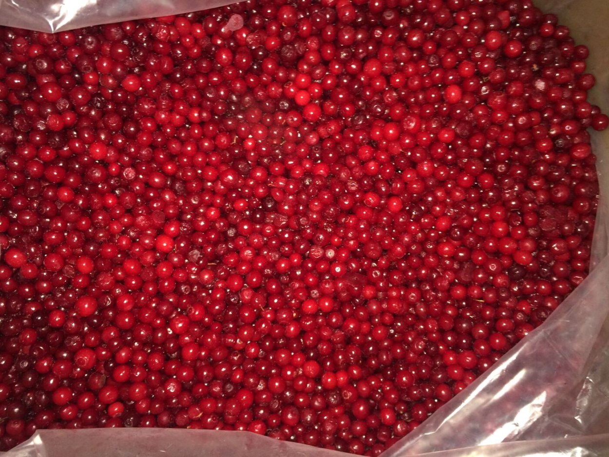 Ягода клоповник на Сахалине