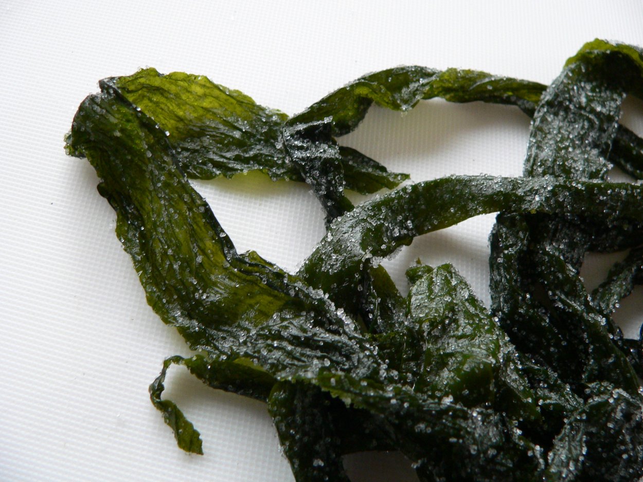 Undaria pinnatifida