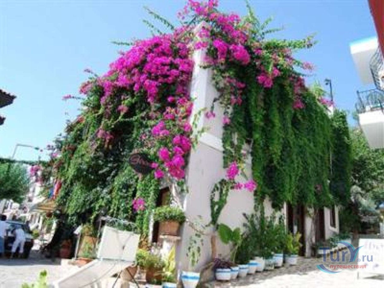 Оранжерея l'Umbracle, Валенсия