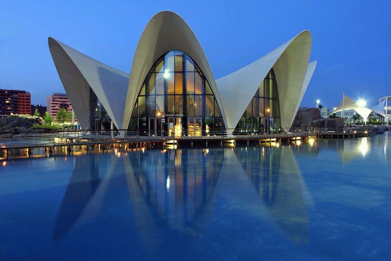 Турецкий цветок бугенвиллия