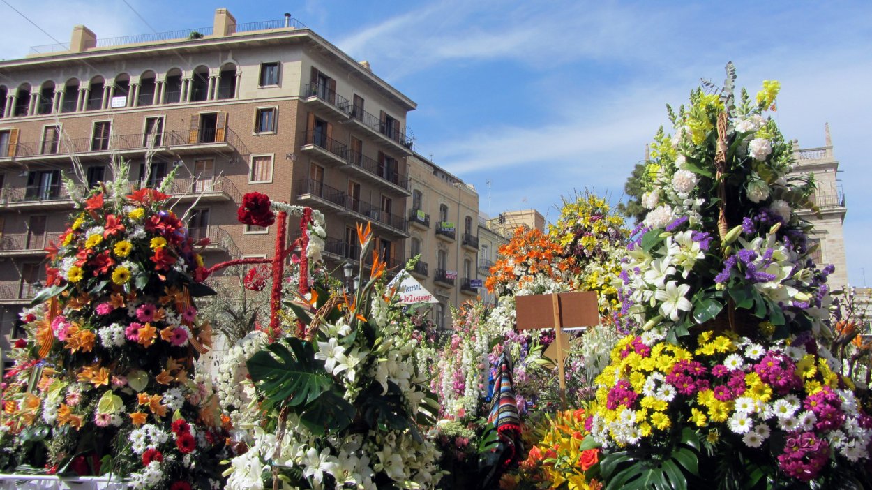 Валенсия цветы