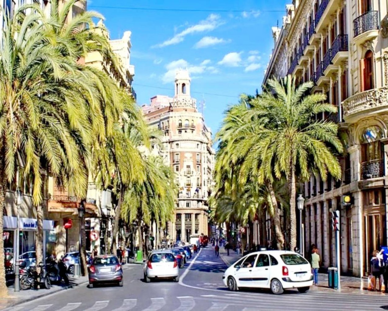 Бугенвиллея вечнозеленый вьющийся