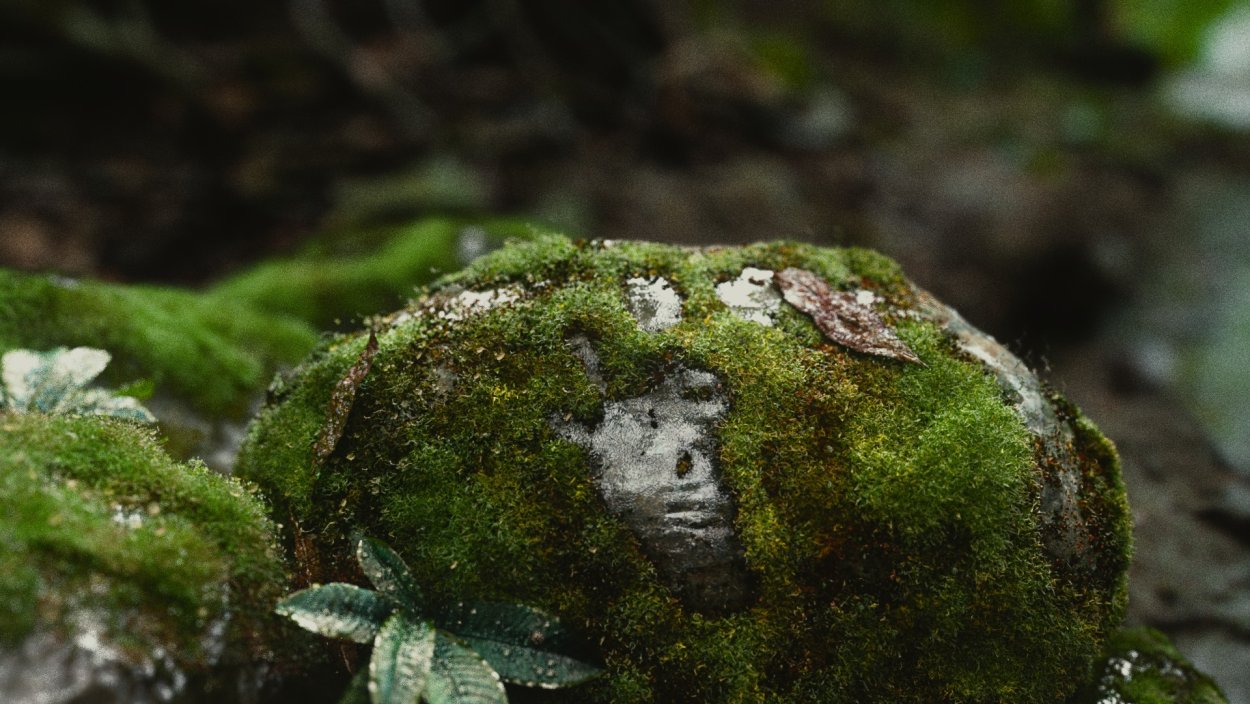 Мох цетрария