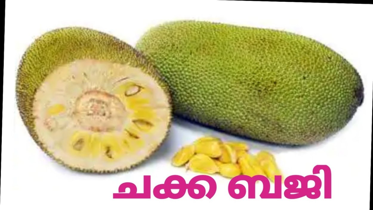 Фрукты хлебное дерево дуриан