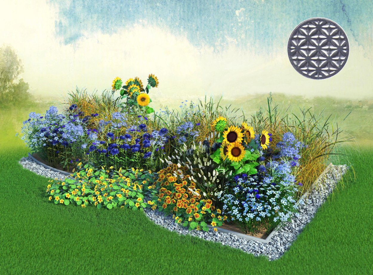 Декоративные Подсолнухи на клумбе