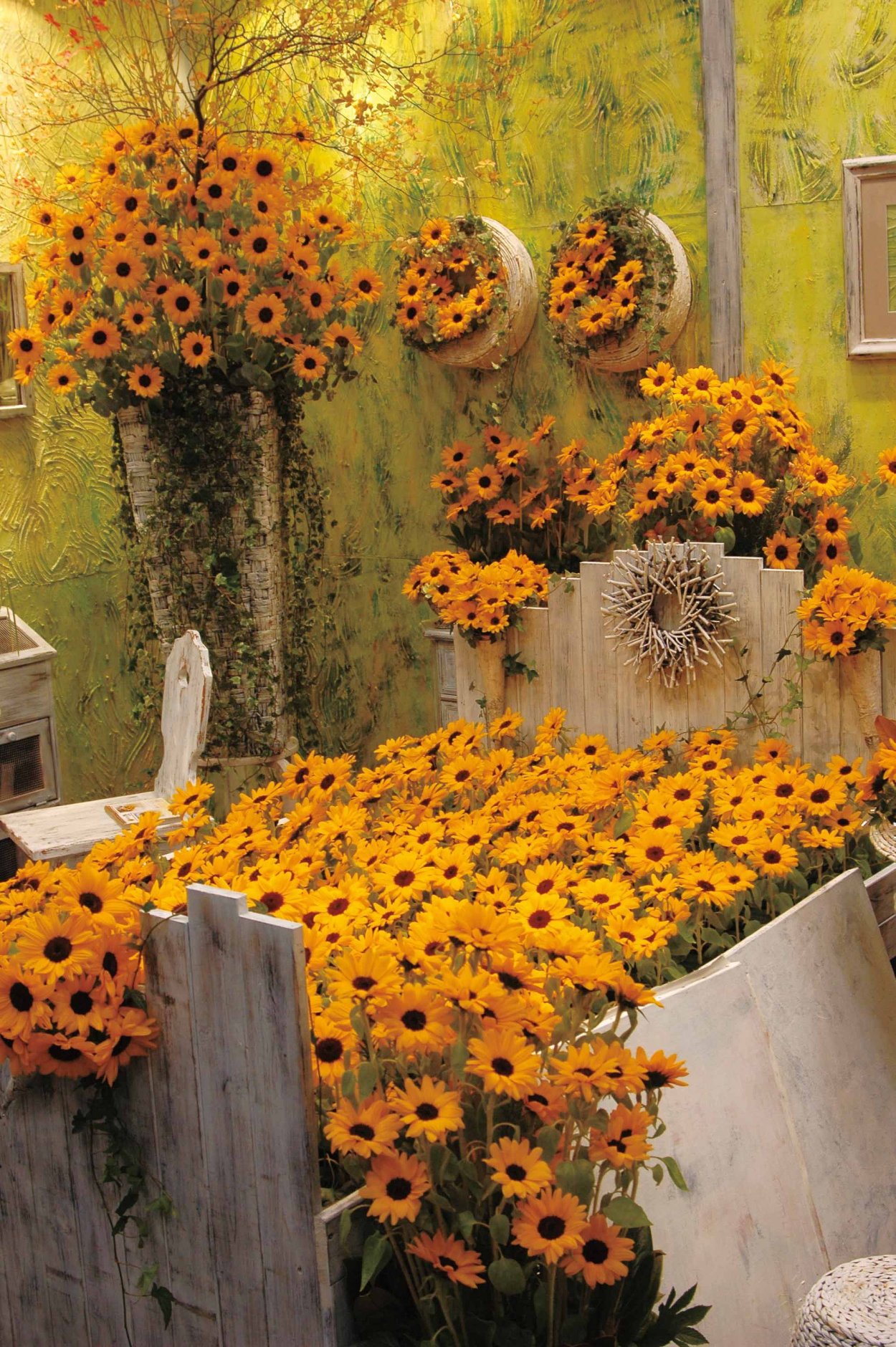 Декоративные Подсолнухи в саду