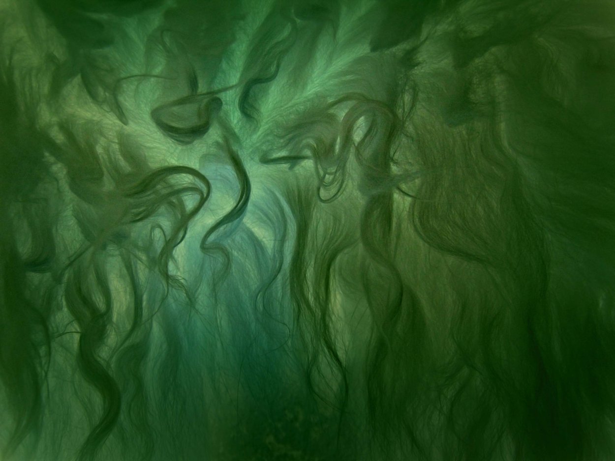 Subnautica водоросли