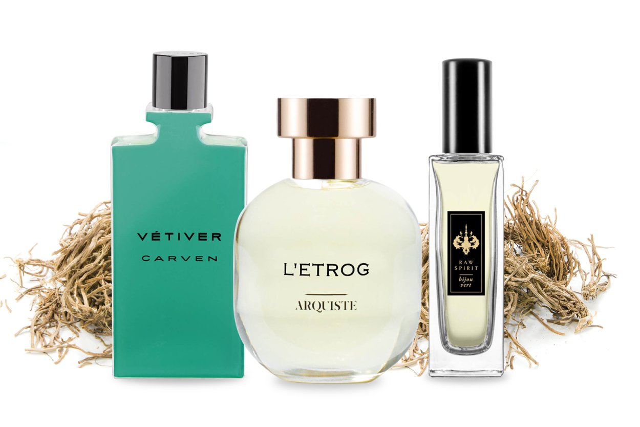 Ветивер растение