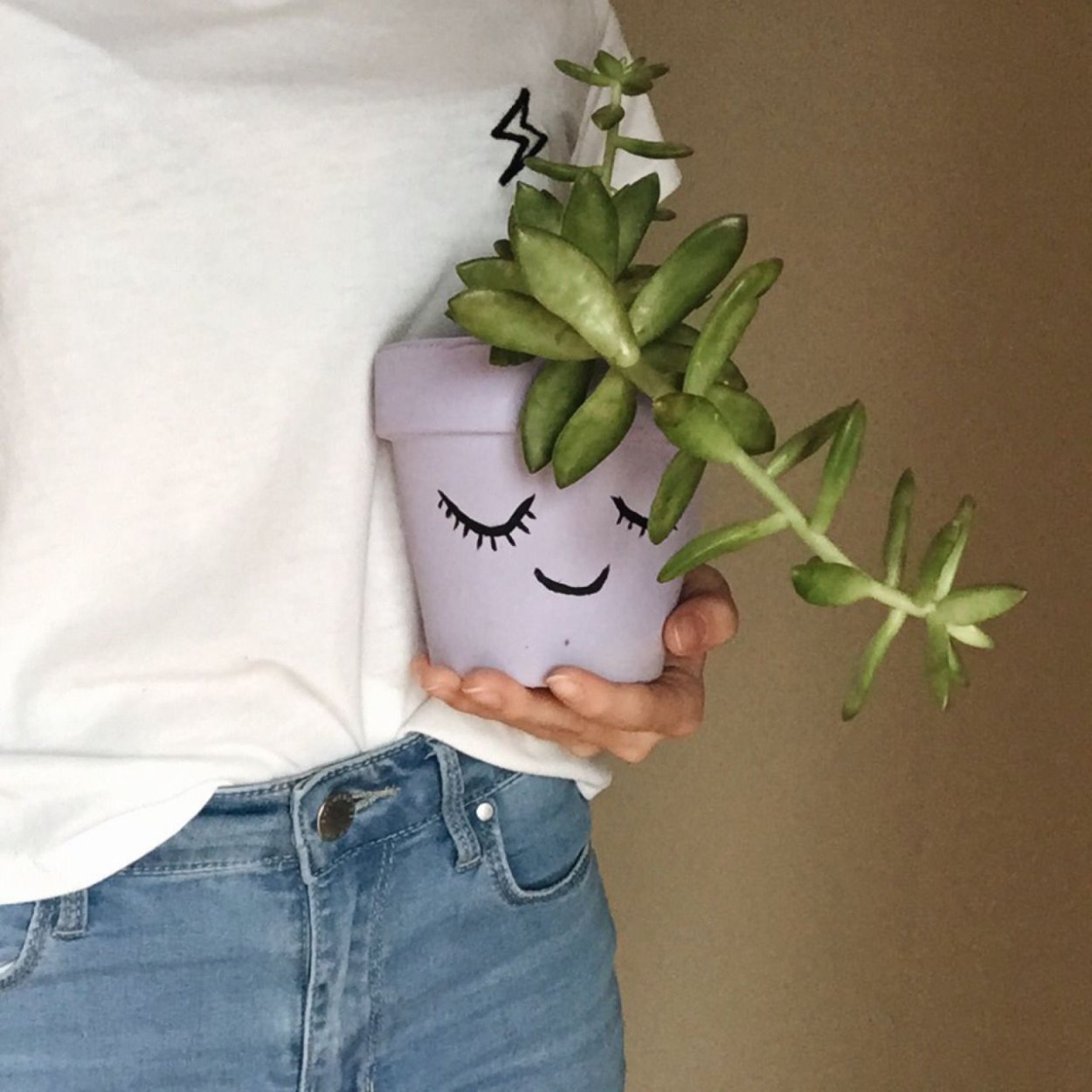 220221папоротник ветвь Kaemingk