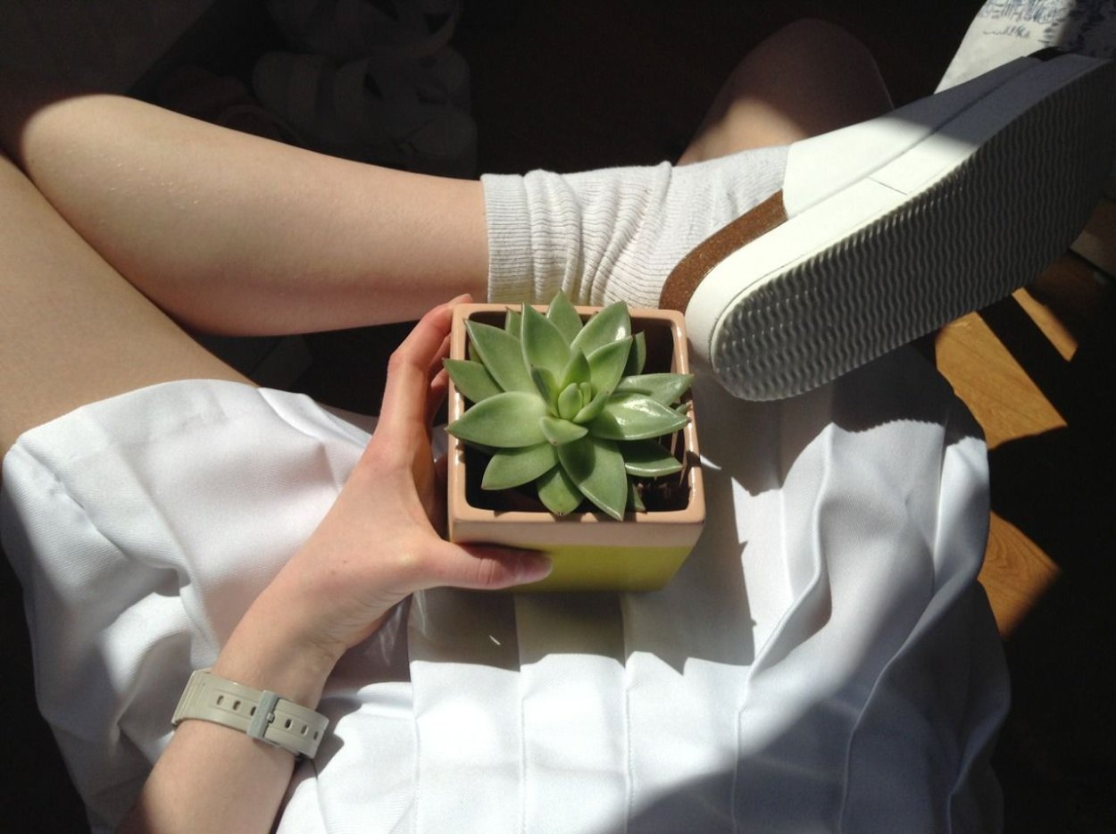 Листики Эстетика