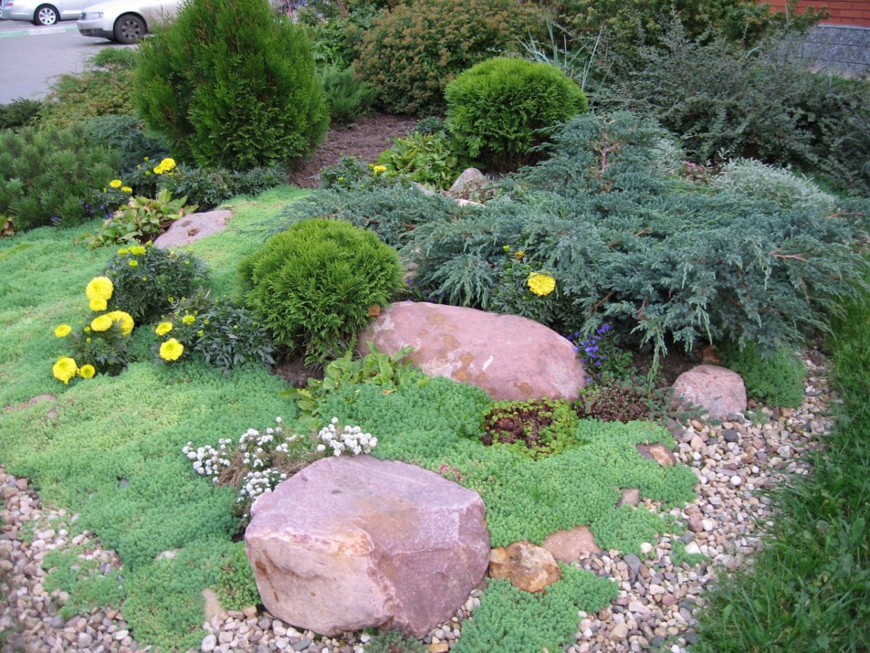 Ель Коника, можжевельник, спирея