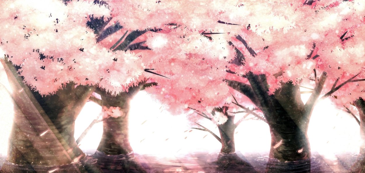 Гифка аниме Сакура