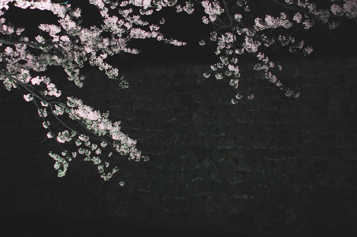 Пейзажи Японии