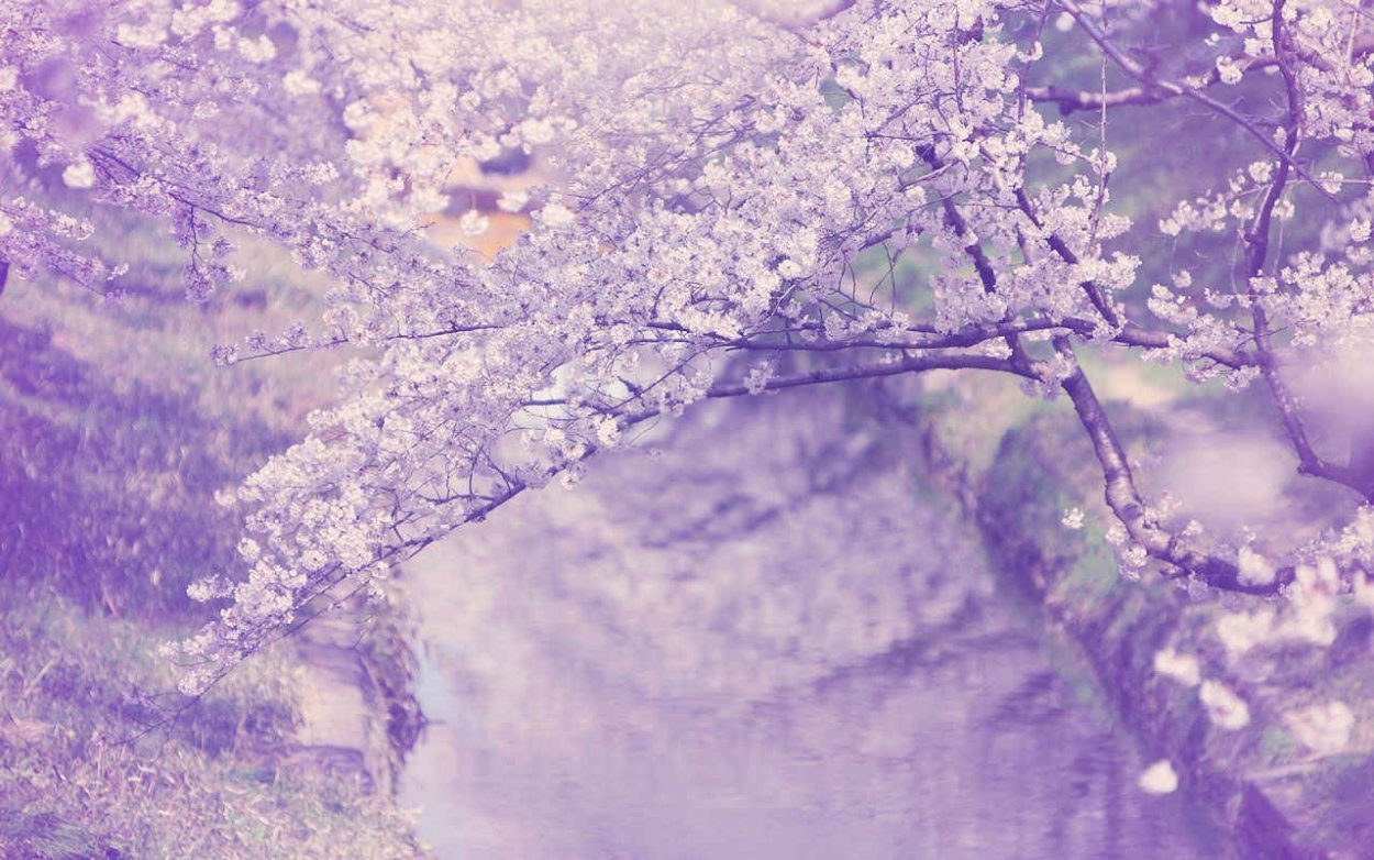 Обои Япония