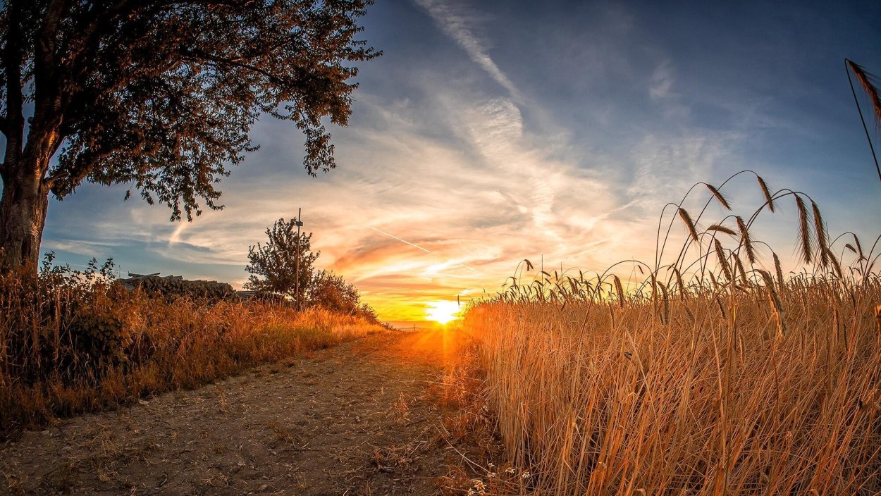 Jaru Яру руна