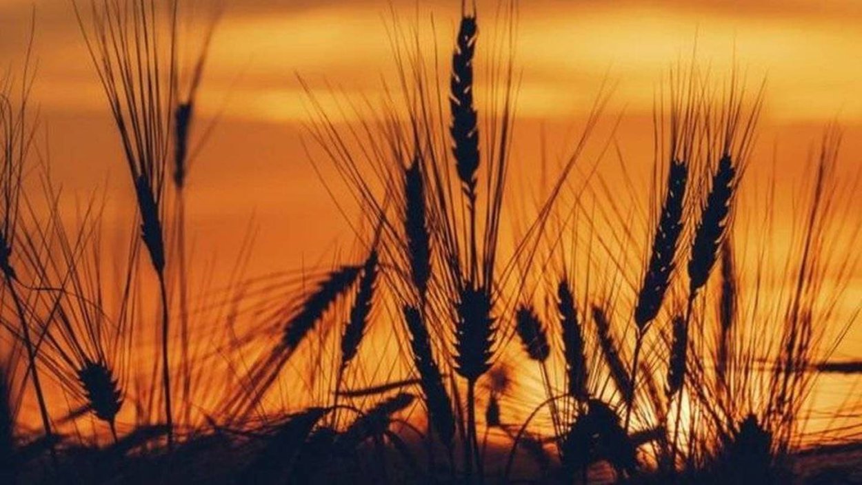 Закат солнца Эстетика