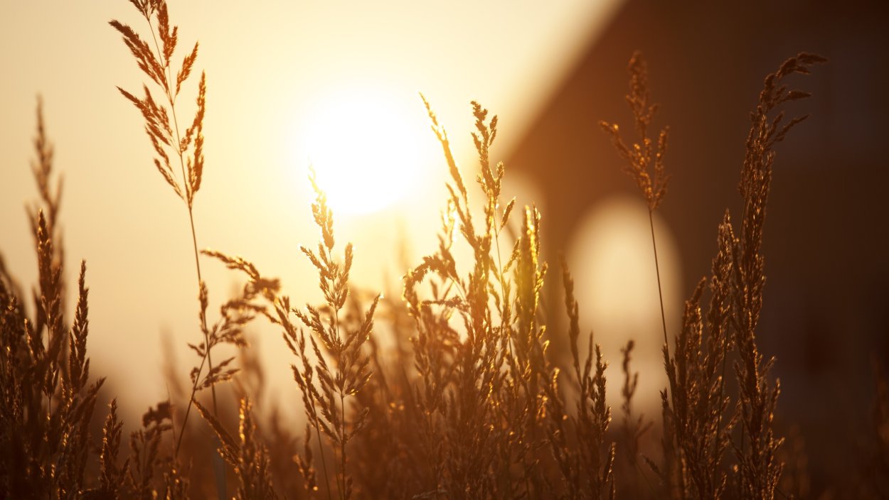 Фон для рабочего стола закат