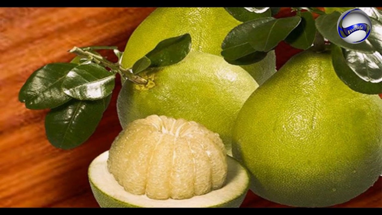 Испорченный грейпфрут