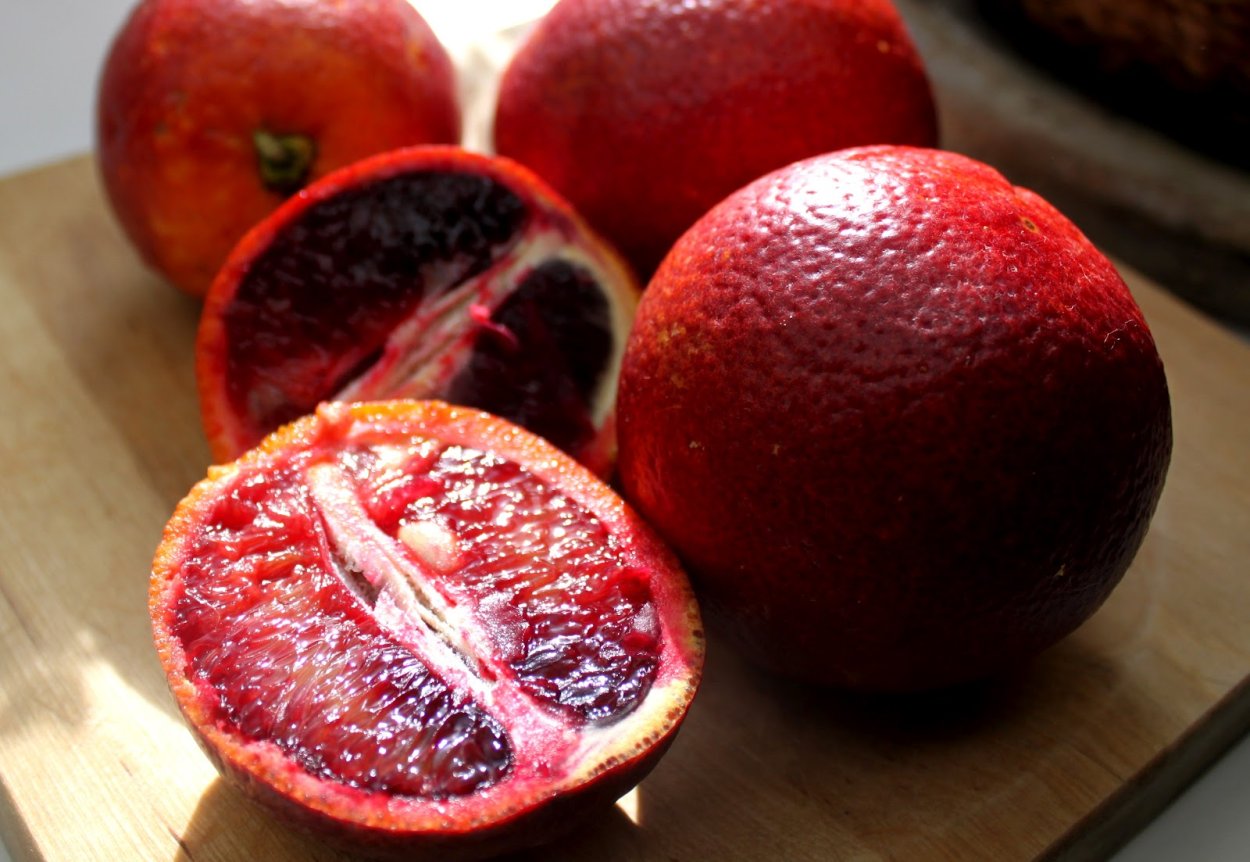 Цитрусовая тарелка вид сверху