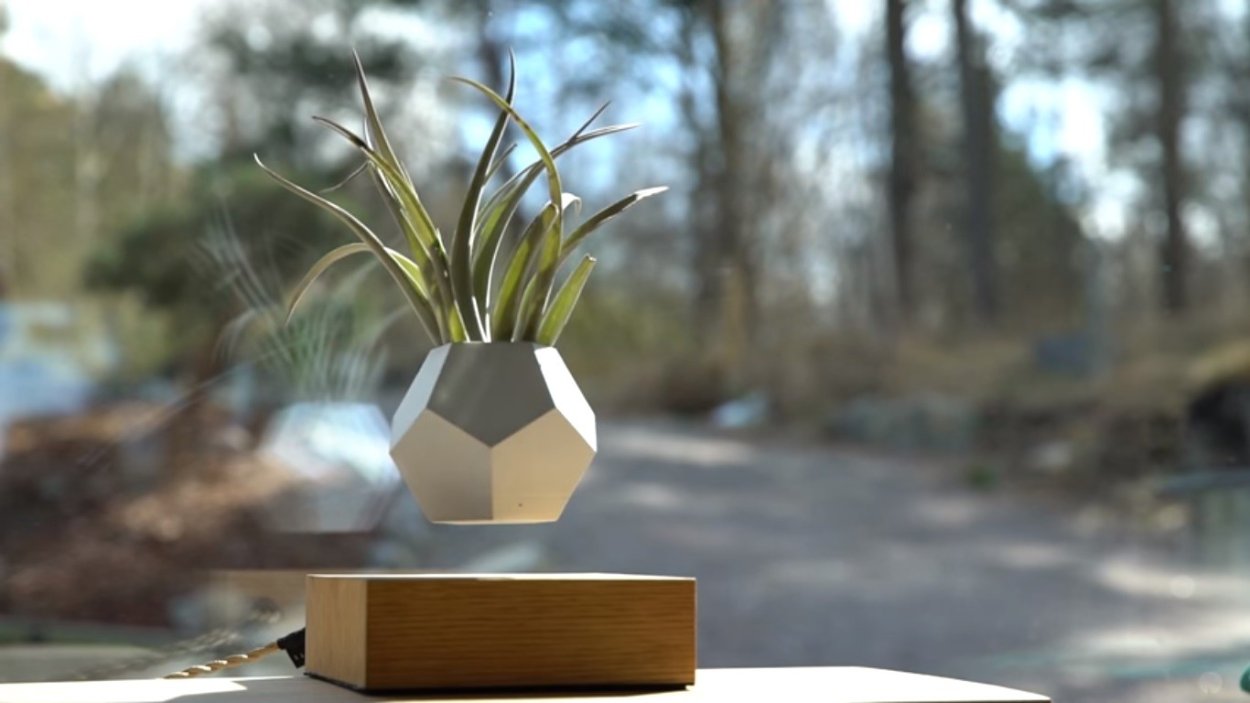 Летающий цветок