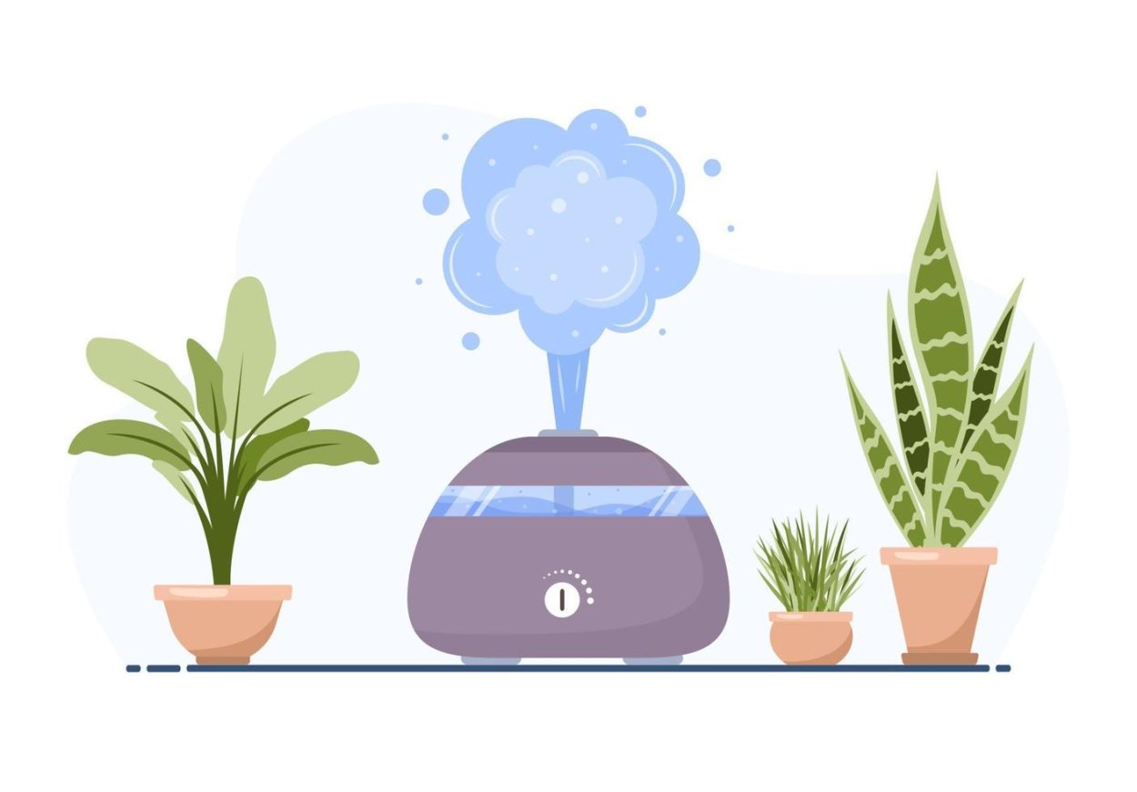 What is there to Humidify Air Home Remedies?