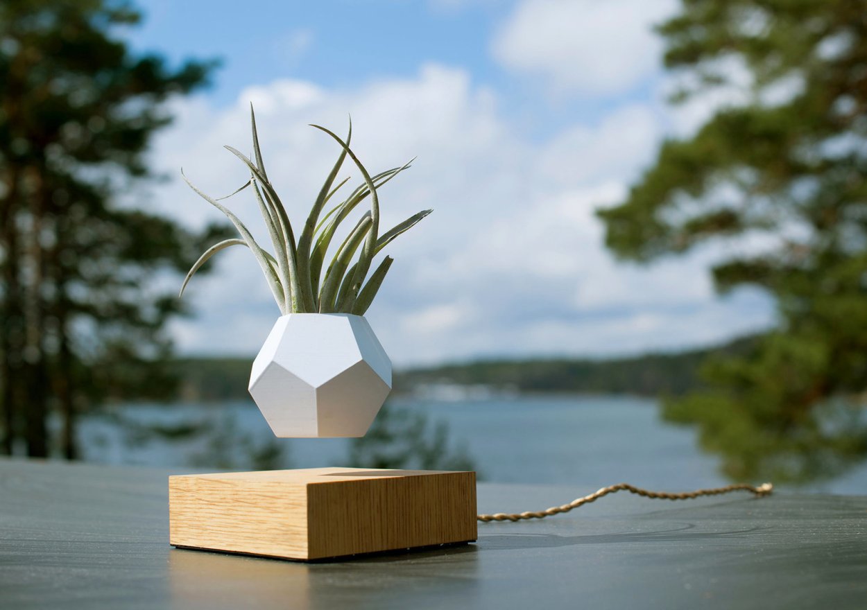 Левитирующий горшок для растений