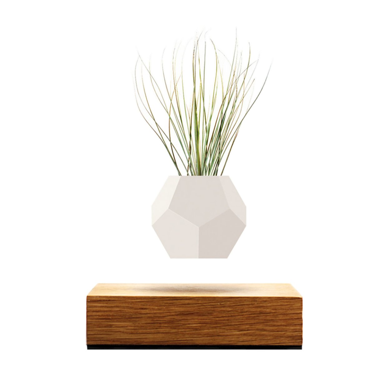 Левитирующий горшок с прозрачным фоном