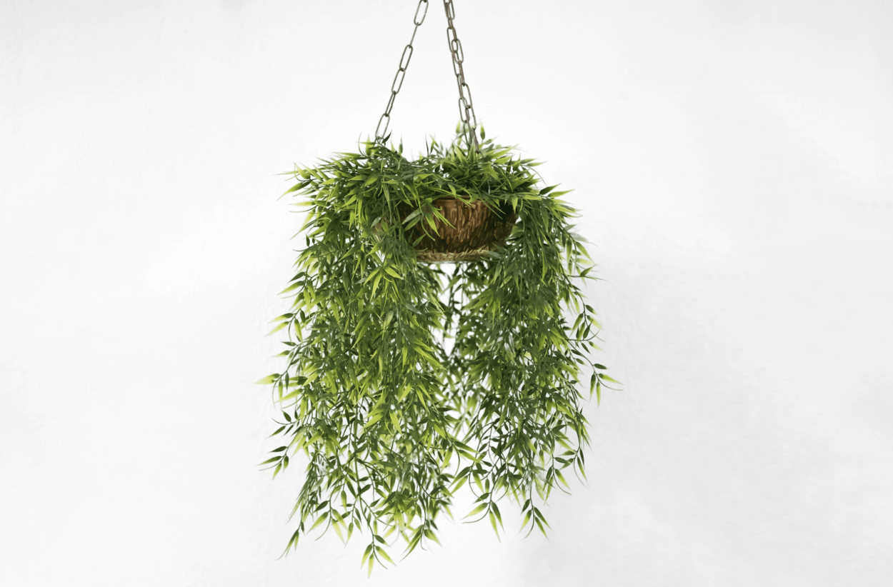 Прозрачная земля для цветов