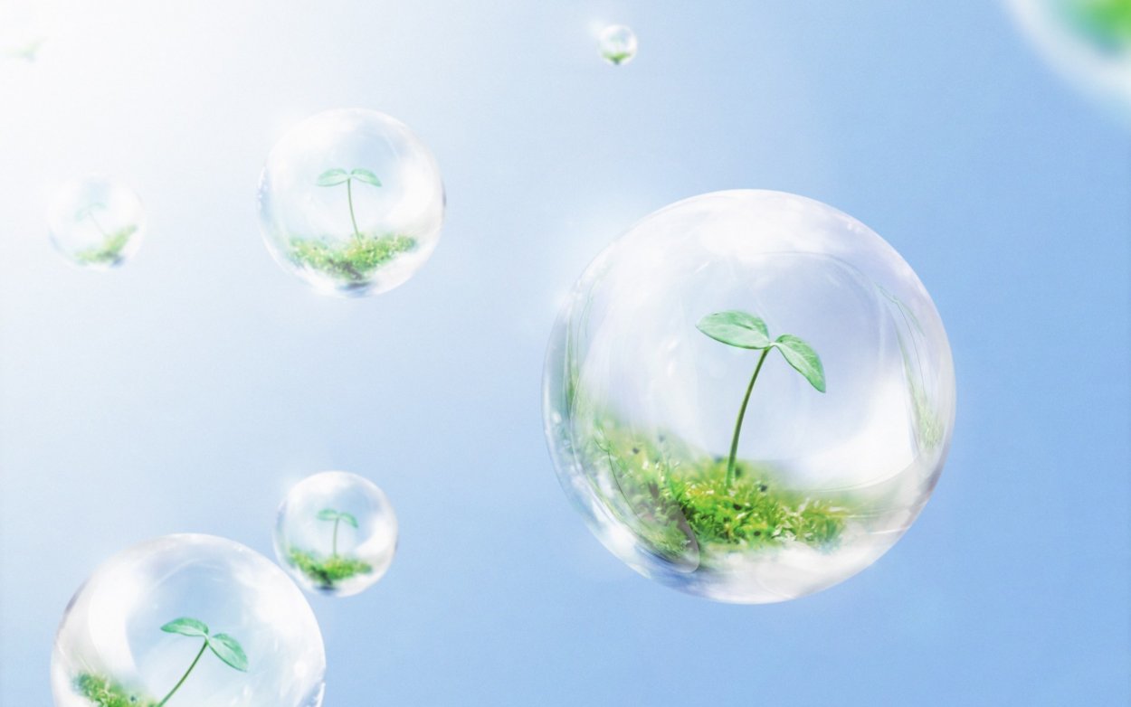 Флорариум подвесной шар