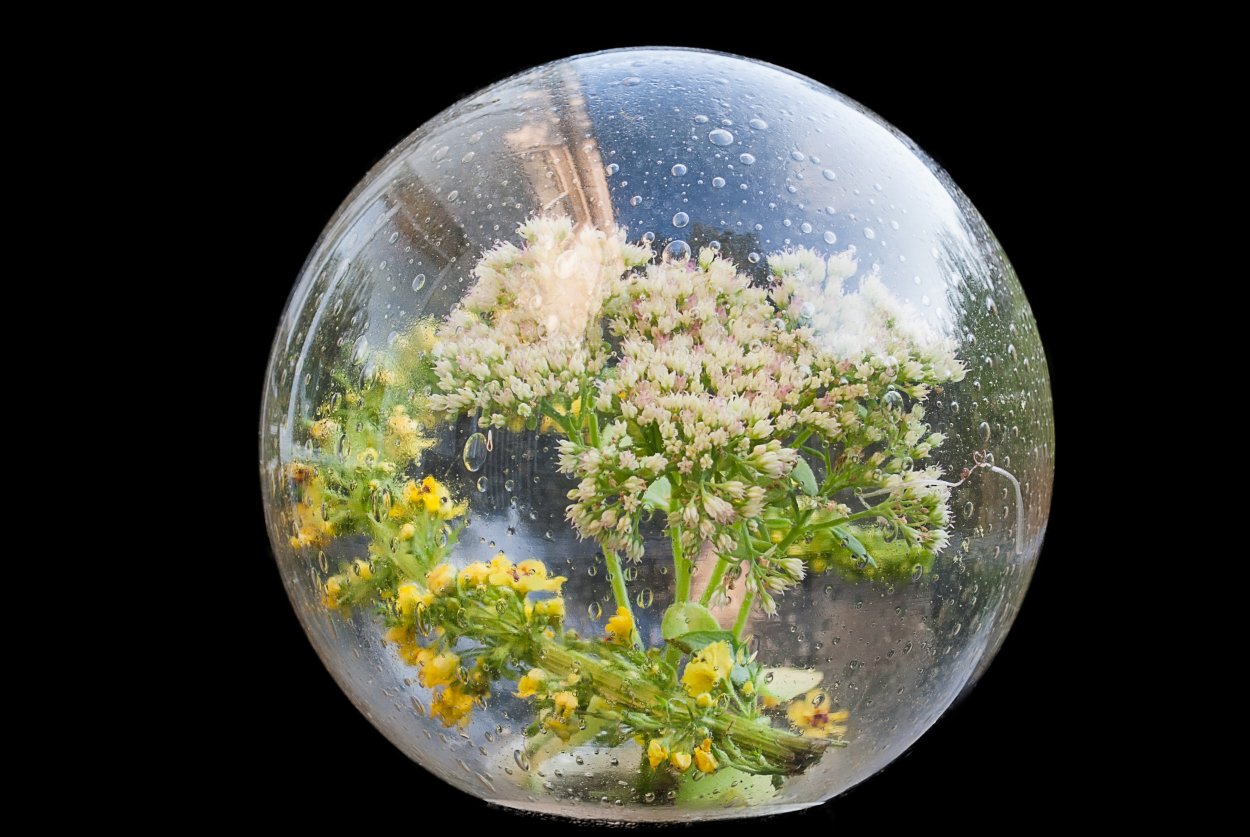 Гидропонный горшок TERRAPLANTER