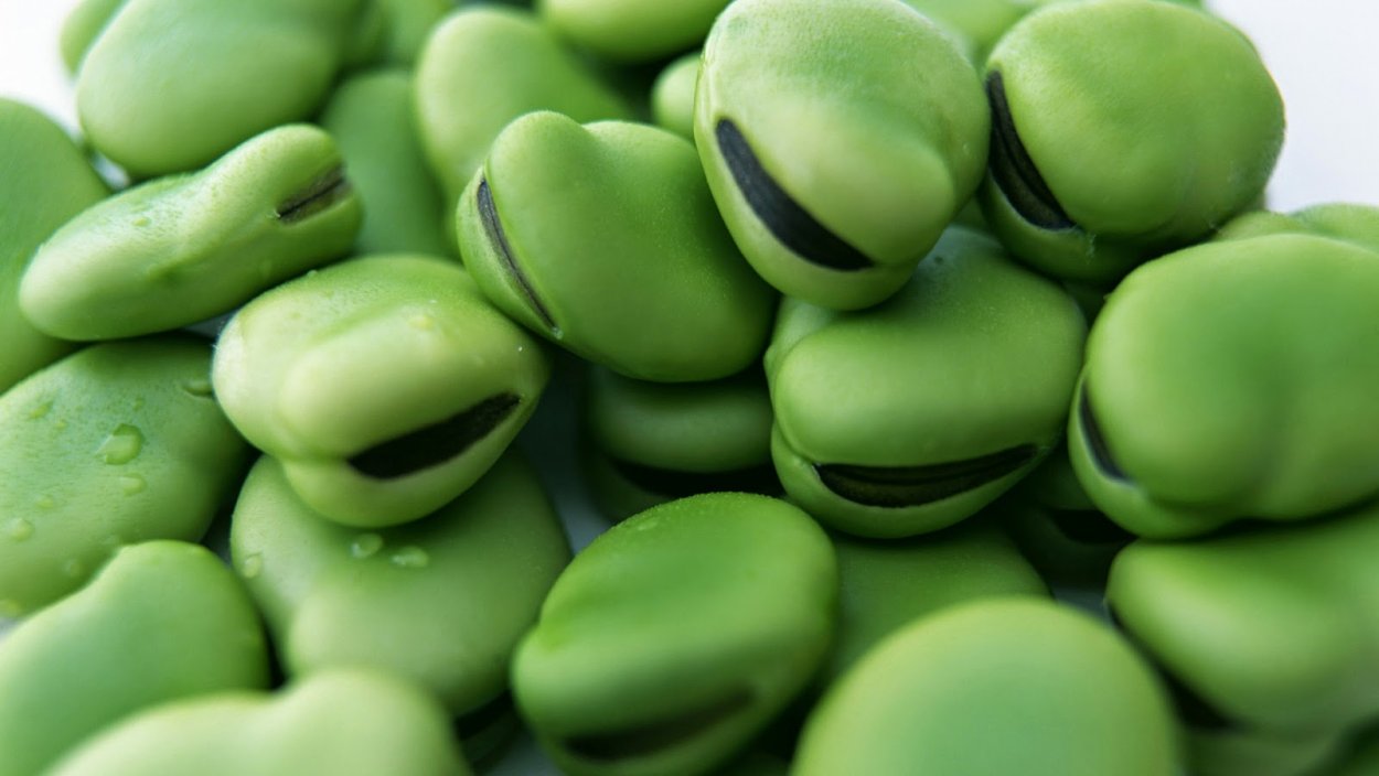 Люпин многолистный венчик