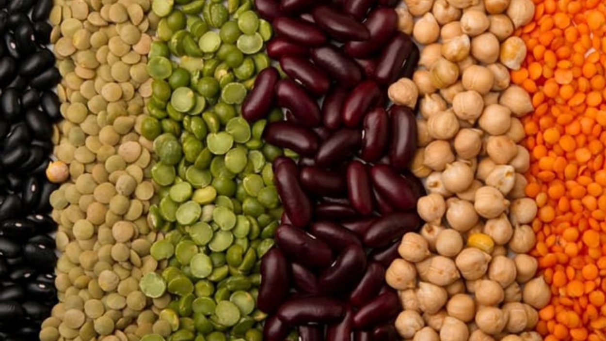 Бобовые овощные культуры