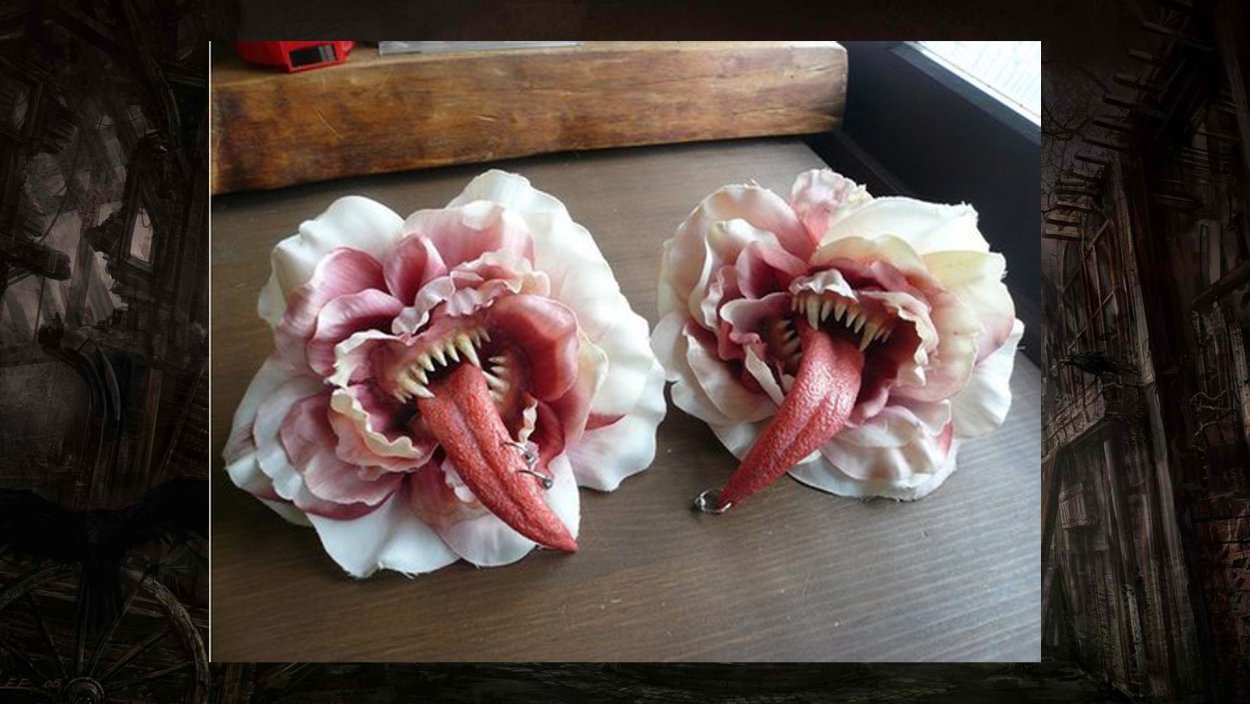 Венерина мухоловка с мухой