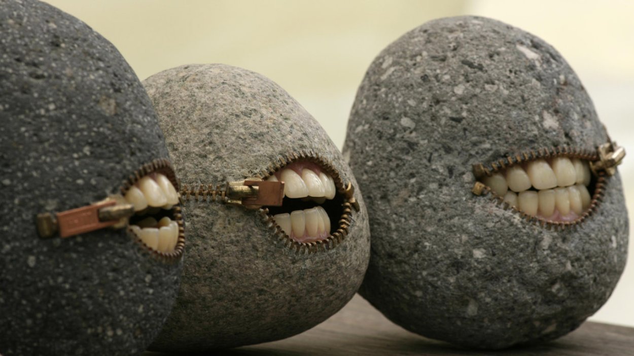 Венерина мухоловка приспособления к среде