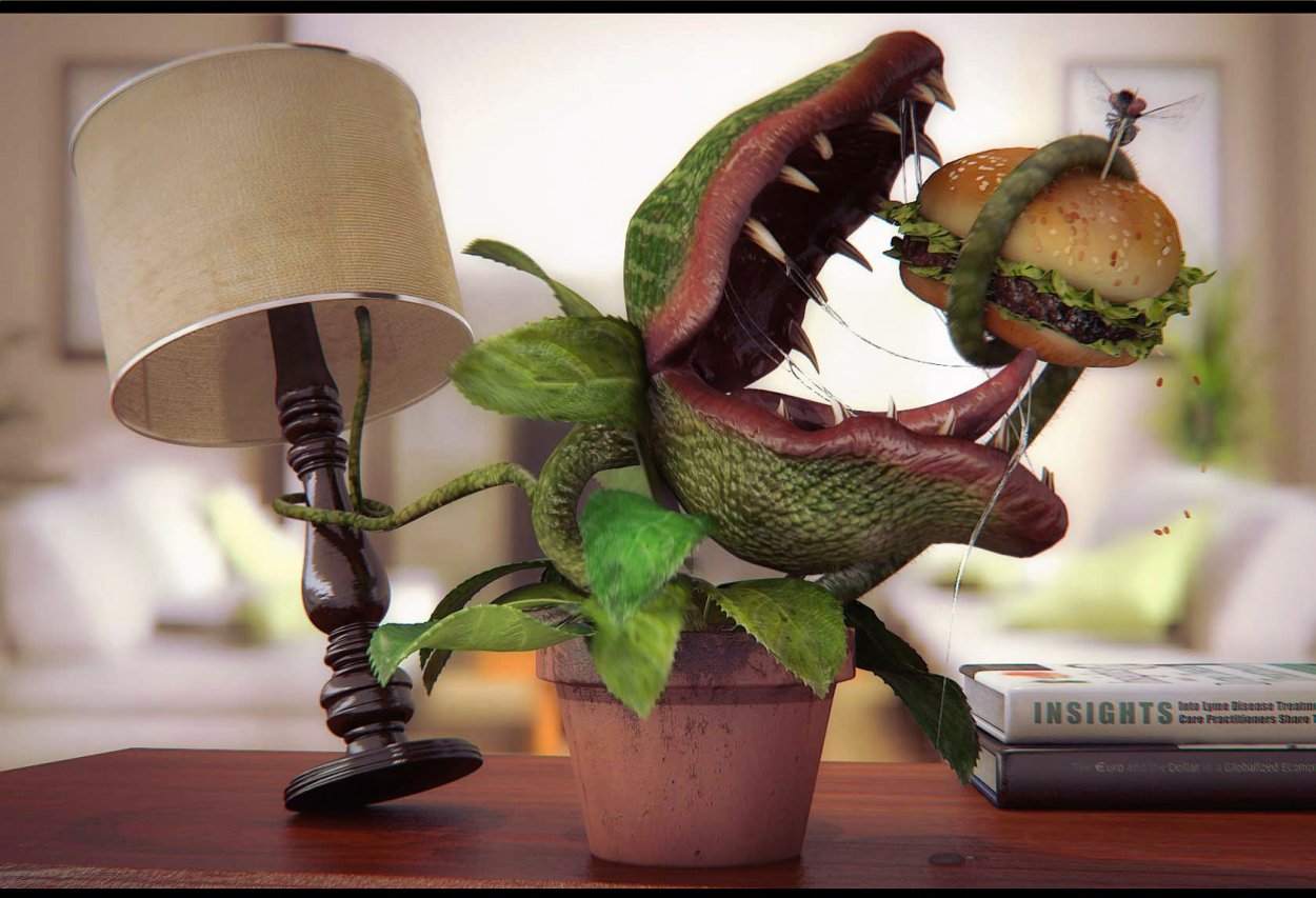 Венерина мухоловка vyjcnh