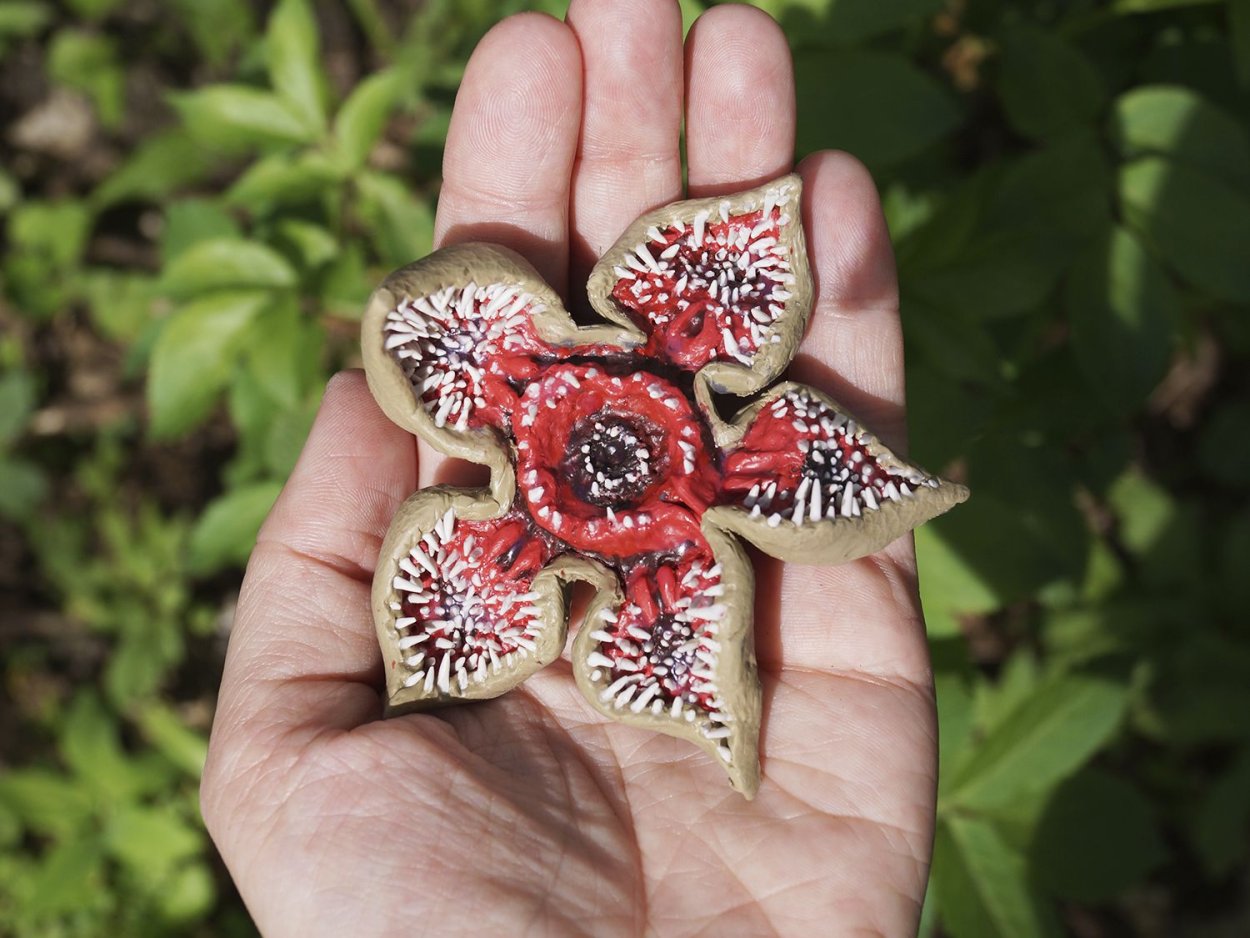 Венерина мухоловка vyjcnh