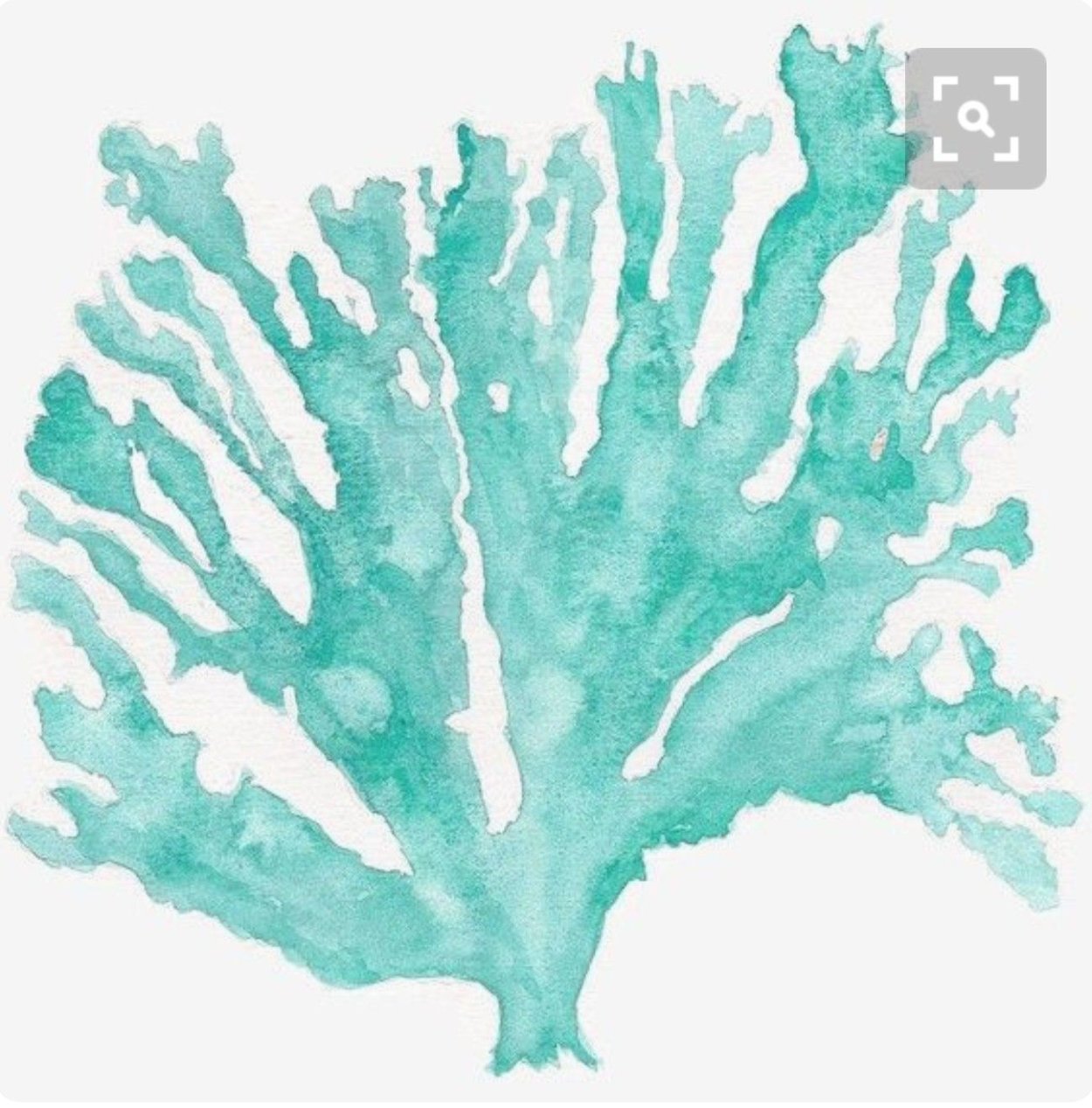 Водоросли арт