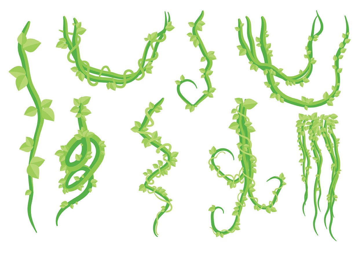 Фотообои Кактус