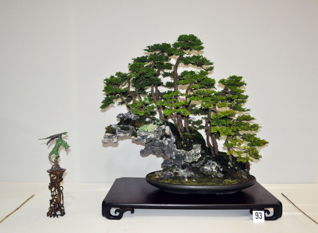 Бонсай Чукур атхап